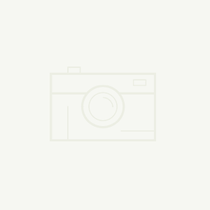 仿站不是 “复制粘贴”!明日生信息科技教你高效打造适配官网